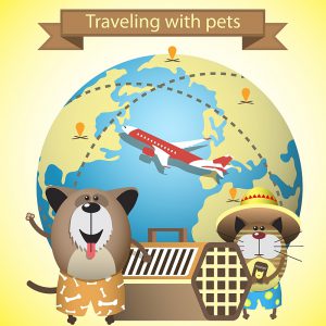 traveling-with-pets