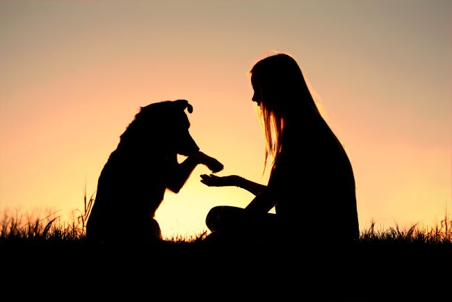 Adoption: When it’s Time To Give Up Your Pet
