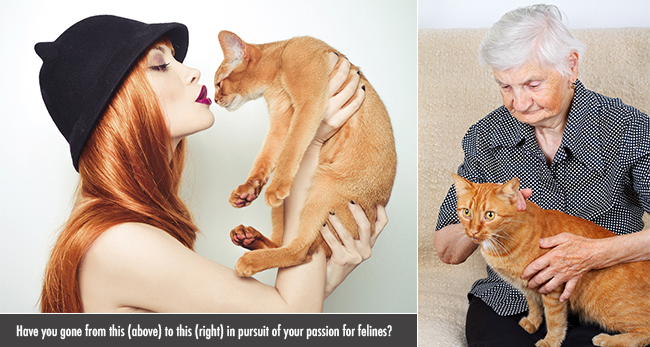 How Cat-Crazy Are You?