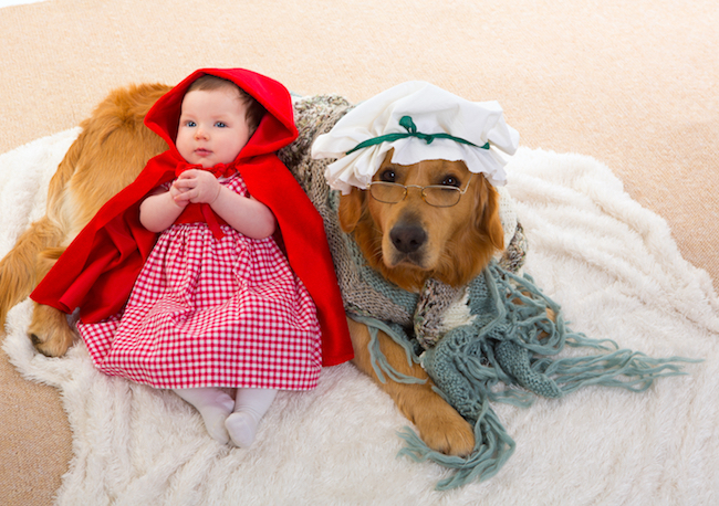 Dogs that Are Ready for Halloween