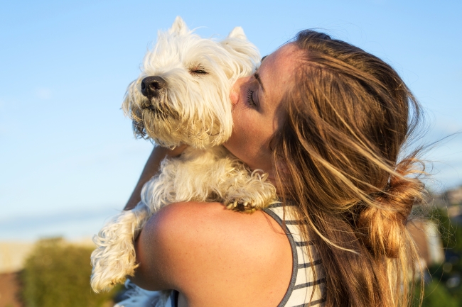 Why Pets Make Great Therapists