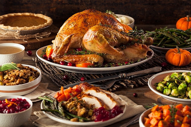 Top 5 Dangerous Foods for Pets on Thanksgiving
