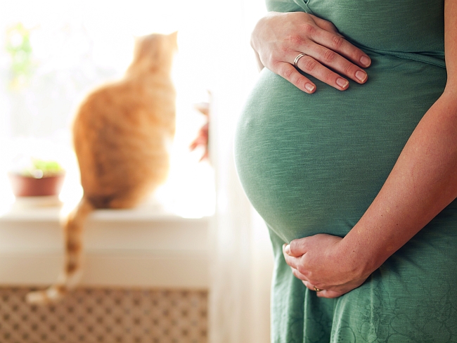 Pregnant Women And Cats