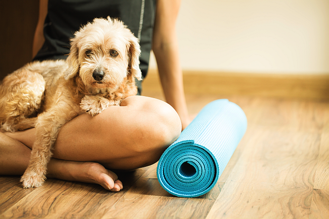 Practical or Pretentious: Yoga Classes for Pets