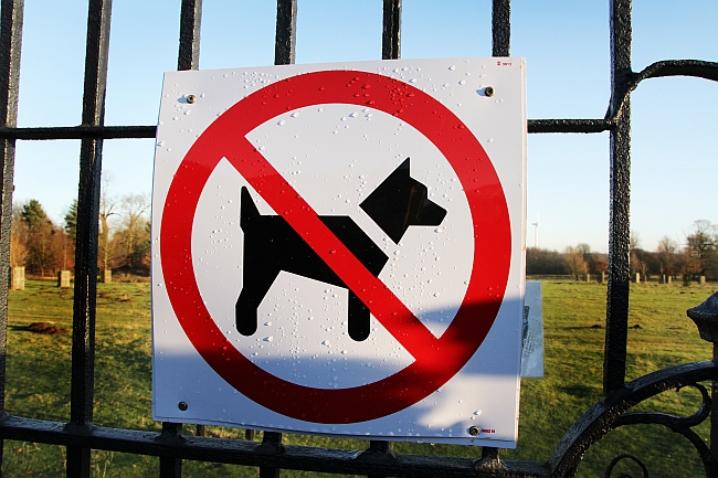 Do City-Wide Biting Breed Bans Work?