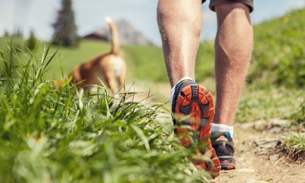 What To Watch Out For When Exercising Your Dog