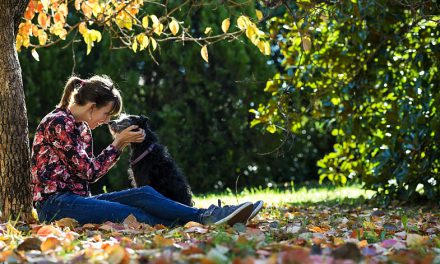 Petting Tips: The Necessity of Affection