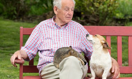 Best Companion Pets For the Elderly
