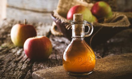 Pet Owner’s Guide to Vinegar: 7 Benefits