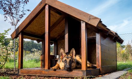 Picking the Right Dog House