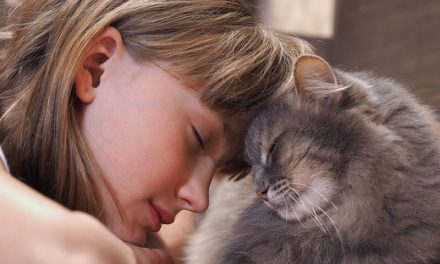 How Owning a Cat Can Improve Your Health