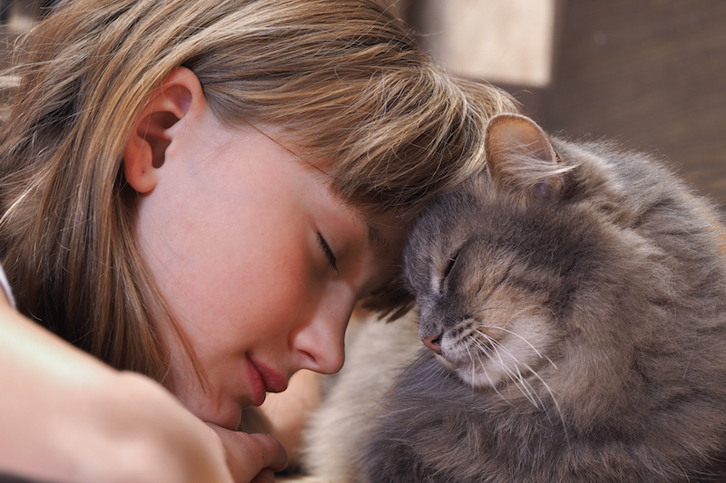 How Owning a Cat Can Improve Your Health