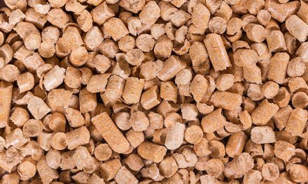 Natural Cat Litter